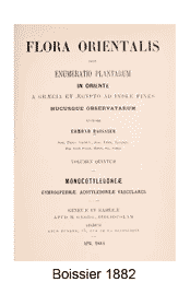 Boissier 1882