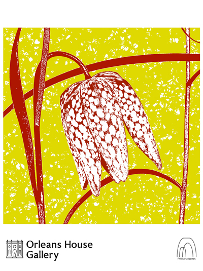 Ducklington Fritillary