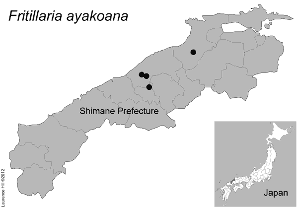 Fritillaria ayakoana map