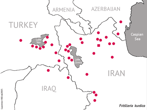 Fritillaria kudica map