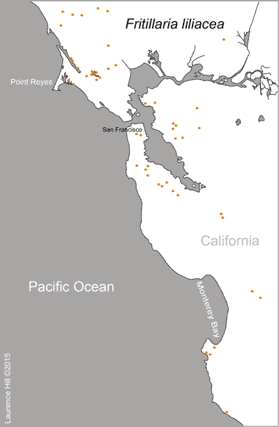 Fritillaria liliacea map