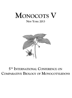 Monocot V