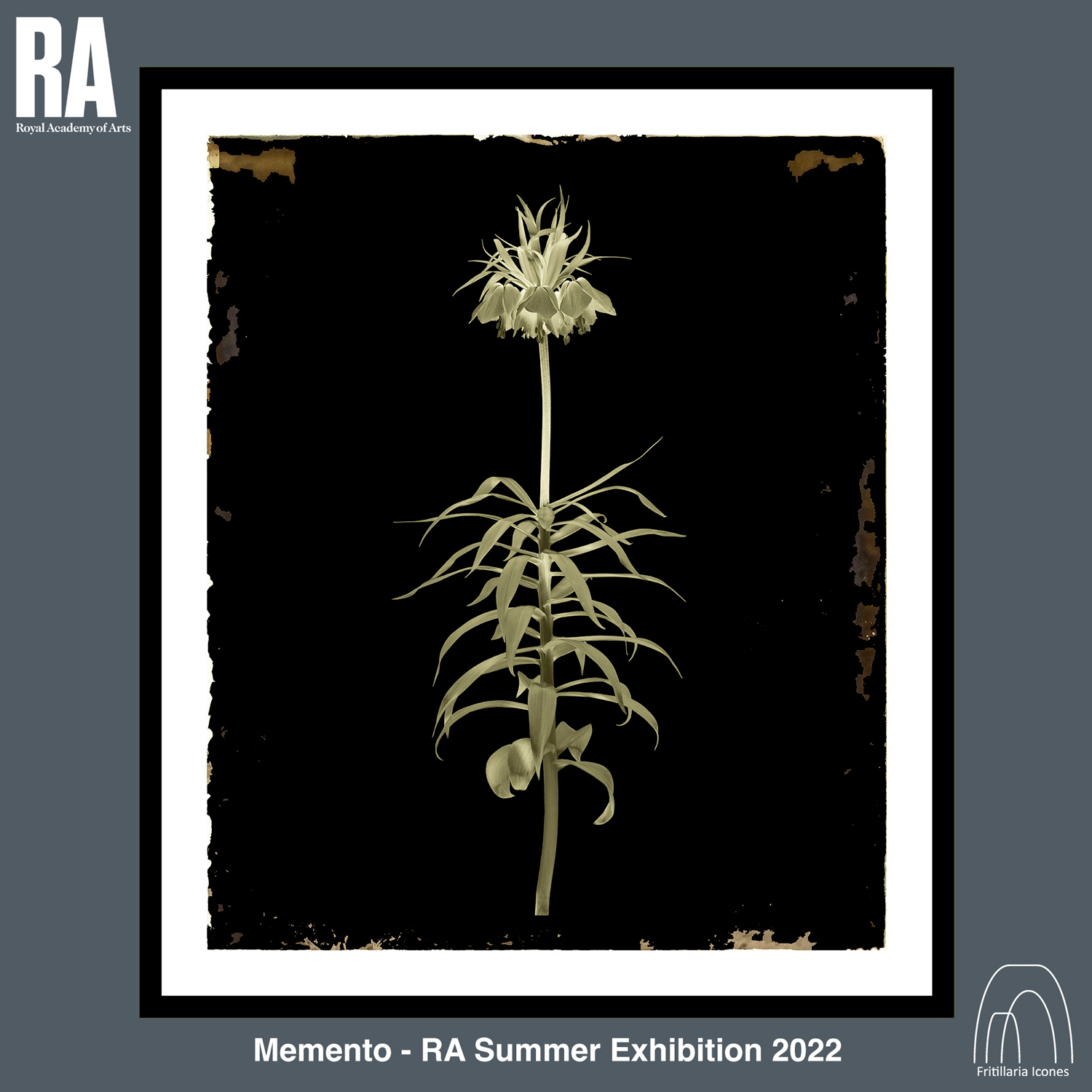 Memento _ RA Summer Exhibition