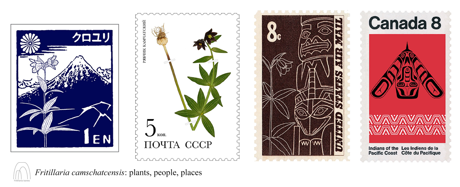Fritillaria camschatcensis stamps