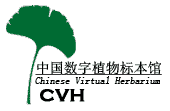 Chinese Vertual Herbarium